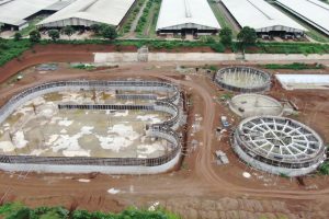 DỰ ÁN: CHĂN NUỘI BÒ SỮA VÀ CHẾ BIẾN SỮA TẬP TRUNG ỨNG DỤNG CÔNG NGHỆ CAO QUY MÔ CÔNG NGHIỆP