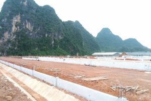 DỰ ÁN ĐẦU TƯ CHĂN NUÔI BÒ SỮA VÀ CHẾ BIẾN SỮA CÔNG NGHỆ CAO TỈNH CAO BẰNG